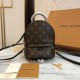 Louis Vuitton M41562 Palm Springs Backpack Mini Handbag