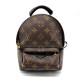 Louis Vuitton M41562 Palm Springs Backpack Mini Handbag