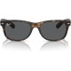 Ray-Ban Unisex Sunglasses Black On Transparent Frame Rubber Havana/Dark Grey